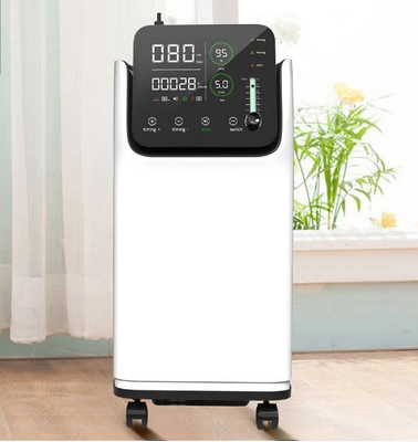 Niestandardowy domowy koncentrator tlenu 220 v Szpitalny generator O2