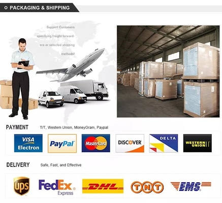 Wysoka czystość 95% Domowy generator O2 Sprzęt do produkcji tlenu 10 l
