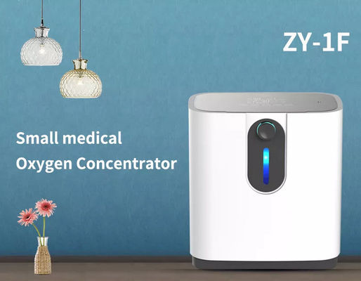 MONOY 6-litrowy regulowany mini nebulizator tlenowy do domu 120v